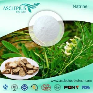 सोफोरा फ्लेवेसेन्स अर्क आपूर्तिकर्ता थोक/सक्रिय सामग्री ऑक्सीमैट्रिन, मैट्रिन है