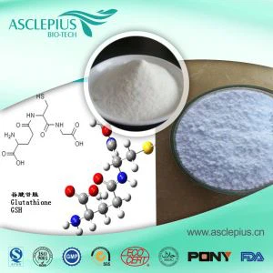 एल ग्लूटामाइन पाउडर अनुपूरक आपूर्तिकर्ता थोक